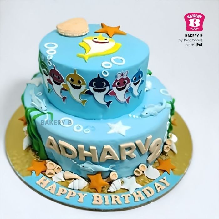 Birthday Cake - BB 06 (1.5Kg)