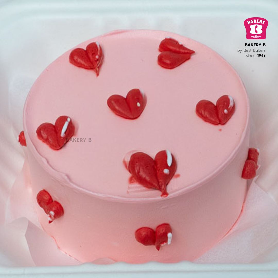 Chocolate Bento Cake