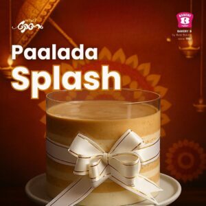 Paalada Splash Cake – 765g