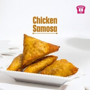 Chicken Samosa