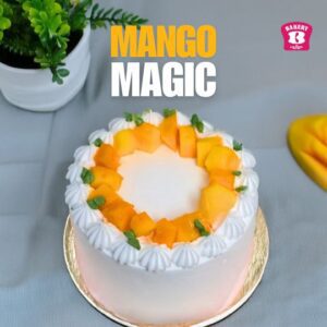 Mango Magic | Bento Cake