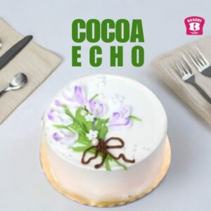 Cocoa Echo | Bento Cake