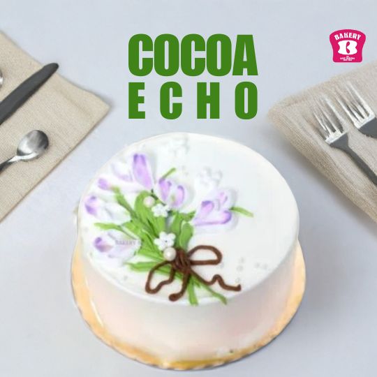 Cocoa Echo | Bento Cake - Bakery B By Best Bakers Cocoa Echo | Bento Cake